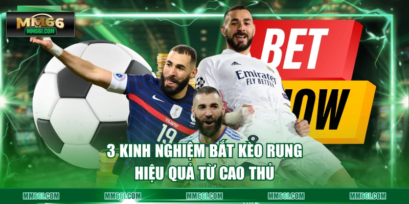 3 kinh nghiệm bắt kèo rung hiệu quả từ cao thủ